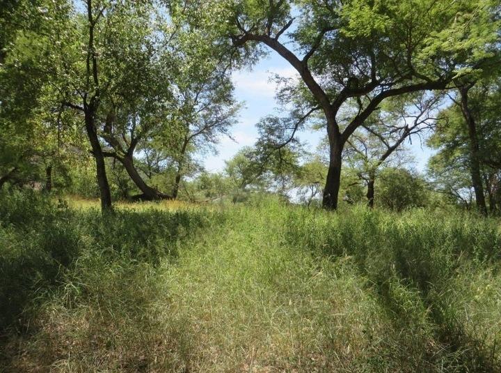 Commercial Property for Sale in Brits North West